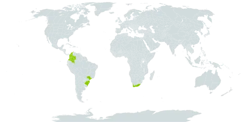 Lampranthus productus world distribution map, present in Brazil, Colombia, and South Africa