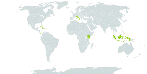 Lantana camara subsp. aculeata world distribution map, present in Bahamas, Bermuda, Cook Islands, Cuba, Cayman Islands, Dominica, Fiji, Haiti, Indonesia, Italy, Jamaica, Kenya, Nauru, Panama, Puerto Rico, and Tonga