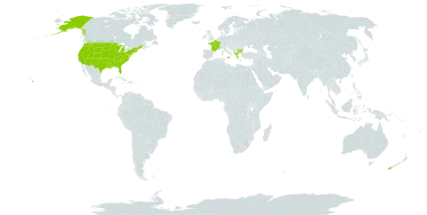 Lathyrus grandiflorus world distribution map, present in Albania, Bulgaria, France, Greece, Italy, New Zealand, and United States of America