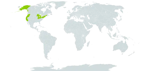 Lathyrus japonicus var. maritimus world distribution map, present in United States of America