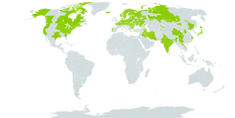 Lathyrus palustris world distribution map, present in Albania, Armenia, Austria, Azerbaijan, Belgium, Bulgaria, Belarus, Canada, Switzerland, China, Czech Republic, Germany, Denmark, Ecuador, Estonia, Finland, France, Georgia, Hungary, India, Iran (Islamic Republic of), Iraq, Iceland, Japan, Kazakhstan, Kyrgyzstan, Lao People's Democratic Republic, Lithuania, Latvia, Moldova (Republic of), Mongolia, Netherlands, Norway, Poland, Portugal, Romania, Russian Federation, Slovakia, Sweden, Ukraine, and United States of America