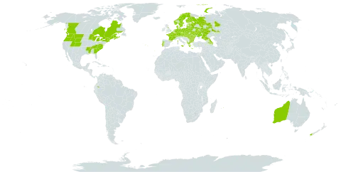 Lathyrus sylvestris world distribution map, present in Albania, Armenia, Australia, Austria, Azerbaijan, Belgium, Bulgaria, Belarus, Canada, Switzerland, Czech Republic, Germany, Denmark, Ecuador, Estonia, Finland, France, United Kingdom of Great Britain and Northern Ireland, Georgia, Greece, Hungary, Italy, Lithuania, Latvia, Moldova (Republic of), Mauritius, Netherlands, Norway, New Zealand, Poland, Portugal, Romania, Russian Federation, Slovakia, Sweden, Ukraine, and United States of America