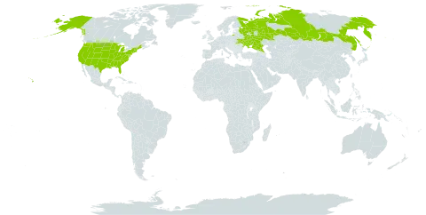 Lathyrus undulatus world distribution map, present in Russian Federation, Ukraine, and United States of America