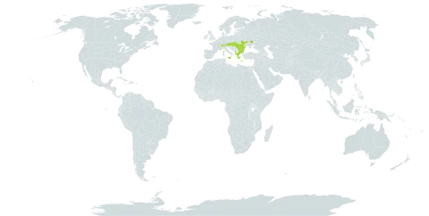 Lathyrus venetus world distribution map, present in Albania, Austria, Bulgaria, Switzerland, France, Greece, Hungary, Italy, Moldova (Republic of), Malta, Romania, Slovakia, and Ukraine