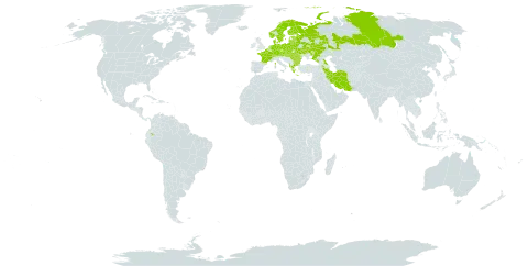 Lathyrus vernus world distribution map, present in Albania, Armenia, Austria, Belgium, Bulgaria, Belarus, Switzerland, Czech Republic, Germany, Denmark, Ecuador, Estonia, Finland, France, Georgia, Greece, Hungary, Iran (Islamic Republic of), Lithuania, Latvia, Moldova (Republic of), Netherlands, Norway, Poland, Romania, Russian Federation, Slovakia, Sweden, and Ukraine