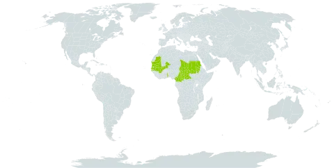 Launaea brunneri world distribution map, present in Burkina Faso, Central African Republic, Cameroon, Mali, Mauritania, Sudan, Senegal, Chad, and Togo