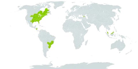 Leersia virginica world distribution map, present in Åland Islands, Brazil, Canada, Micronesia (Federated States of), Georgia, Malaysia, Nicaragua, and United States of America