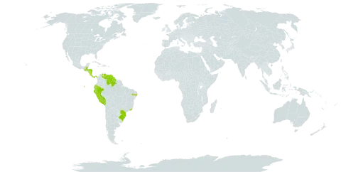 Lepanthopsis floripecten world distribution map, present in Belize, Brazil, Costa Rica, Ecuador, Guatemala, Guyana, Honduras, Nicaragua, Panama, Peru, and Venezuela (Bolivarian Republic of)