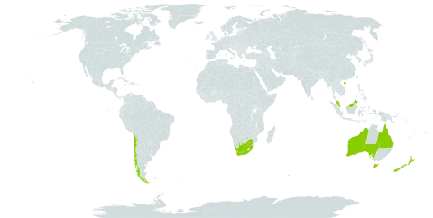 Leptocarpus world distribution map, present in Australia, Chile, China, Malaysia, New Zealand, and South Africa