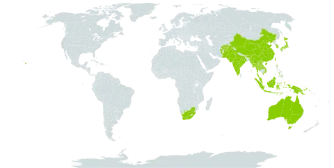 Lespedeza intermixta world distribution map, present in Afghanistan, Australia, Bhutan, China, Hong Kong, Indonesia, India, Japan, Korea (Republic of), Lao People's Democratic Republic, Myanmar, Malaysia, Nepal, Pakistan, Philippines, Papua New Guinea, Thailand, Timor-Leste, Taiwan, Province of China, United States of America, Viet Nam, and South Africa