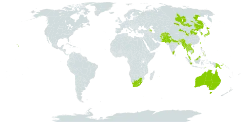 Lespedeza juncea world distribution map, present in Afghanistan, Australia, Azerbaijan, Bhutan, China, Hong Kong, Indonesia, India, Japan, Korea (Republic of), Lao People's Democratic Republic, Myanmar, Mongolia, Mauritius, Malaysia, Nepal, Pakistan, Philippines, Papua New Guinea, Russian Federation, Thailand, Timor-Leste, Taiwan, Province of China, United States of America, Viet Nam, and South Africa