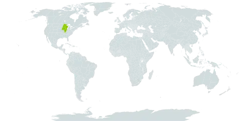 Lespedeza leptostachya world distribution map, present in United States of America