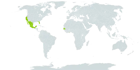 Leucaena esculenta world distribution map, present in Ghana, Mexico, Senegal, Singapore, and United States of America