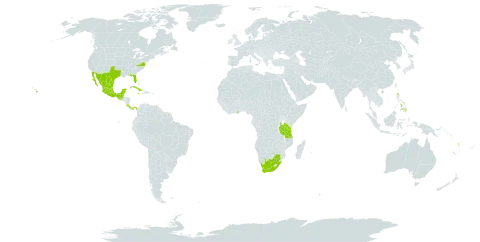 Leucaena leucocephala subsp. leucocephala world distribution map, present in Bahamas, Belize, Bermuda, Costa Rica, Cuba, Ghana, Grenada, Guatemala, Guam, Jamaica, Mexico, Panama, Philippines, Singapore, Tanzania, United Republic of, United States of America, Vanuatu, and South Africa