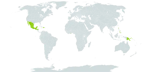 Leucaena spontanea world distribution map, present in Dominican Republic, Ghana, Guatemala, Honduras, Haiti, Jamaica, Mexico, Philippines, and Papua New Guinea