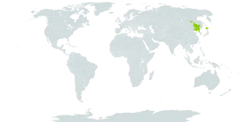 Leucanthemella linearis world distribution map, present in China, Japan, and Korea (Democratic People's Republic of)