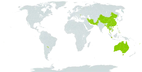 Leucas decemdentata world distribution map, present in Andorra, Argentina, Australia, Bangladesh, China, Cook Islands, Fiji, Indonesia, Iran (Islamic Republic of), Moldova (Republic of), Myanmar, Nepal, Pakistan, Philippines, Thailand, Tonga, Taiwan, Province of China, Viet Nam, Wallis and Futuna, and Samoa