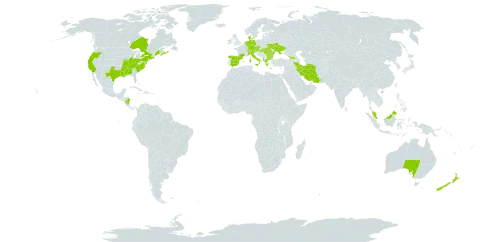 Leucojum aestivum world distribution map, present in Åland Islands, Albania, Australia, Austria, Bulgaria, Canada, Switzerland, Czech Republic, Germany, Denmark, Spain, France, Georgia, Greece, Hungary, Ireland, Iran (Islamic Republic of), Italy, Malaysia, Nicaragua, Netherlands, New Zealand, Romania, Turks and Caicos Islands, Ukraine, and United States of America