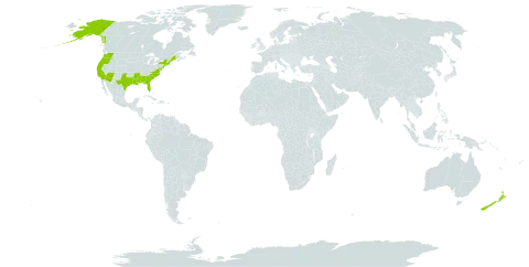 Lilaeopsis world distribution map, present in New Zealand and United States of America