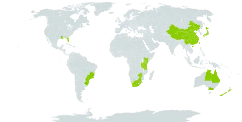 Lilium formosanum world distribution map, present in Australia, Brazil, China, Japan, Kenya, Norfolk Island, New Zealand, Taiwan, Province of China, Tanzania, United Republic of, United States of America, South Africa, and Zimbabwe