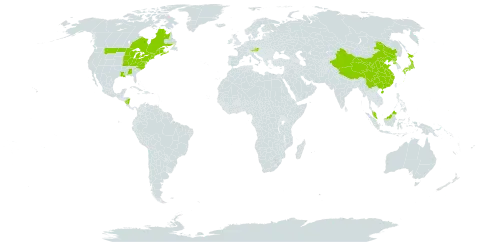 Lilium lancifolium world distribution map, present in Åland Islands, Austria, Canada, China, Micronesia (Federated States of), Japan, Malaysia, Nicaragua, Korea (Democratic People's Republic of), and United States of America