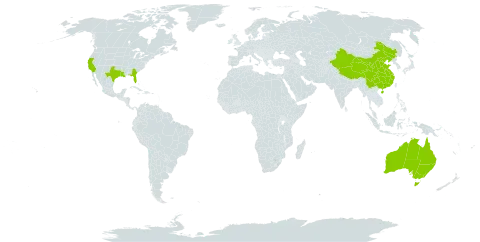 Limnophila world distribution map, present in Australia, China, and United States of America