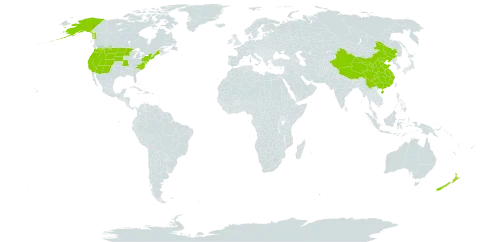 Limosella world distribution map, present in China, New Zealand, and United States of America