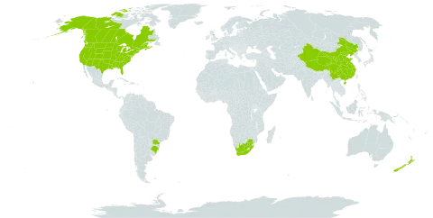 Linaria vulgaris world distribution map, present in Brazil, Canada, China, France, United Kingdom of Great Britain and Northern Ireland, New Zealand, United States of America, and South Africa