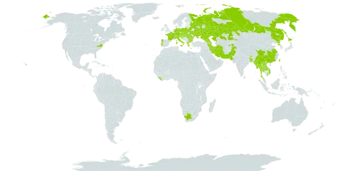 Lindernia procumbens world distribution map, present in Afghanistan, Armenia, Austria, Azerbaijan, Bangladesh, Bulgaria, Belarus, Bhutan, Switzerland, China, Czech Republic, Germany, Spain, France, Georgia, Greece, Guam, Croatia, Hungary, Iran (Islamic Republic of), Italy, Japan, Kazakhstan, Lao People's Democratic Republic, Liberia, Myanmar, Nepal, Pakistan, Philippines, Poland, Korea (Democratic People's Republic of), Portugal, Romania, Russian Federation, Serbia, Slovakia, Slovenia, Thailand, Tajikistan, Taiwan, Province of China, Ukraine, United States of America, Viet Nam, and South Africa