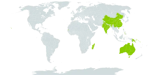 Lindsaea ensifolia subsp. ensifolia world distribution map, present in Australia, China, Algeria, Micronesia (Federated States of), India, Madagascar, Philippines, Papua New Guinea, Solomon Islands, Seychelles, and United States of America