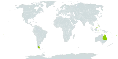 Lindsaea repens var. sessilis world distribution map, present in Argentina, American Samoa, Australia, Cook Islands, Fiji, Indonesia, Sri Lanka, Malaysia, Philippines, Papua New Guinea, Solomon Islands, and Samoa