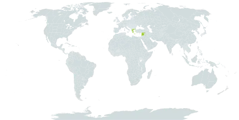 Linum aroanium world distribution map, present in Greece, Lebanon, North Macedonia, and Syrian Arab Republic