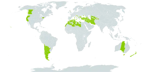 Linum bienne world distribution map, present in Albania, Andorra, Argentina, Australia, Bulgaria, Bosnia and Herzegovina, Canada, Chile, Cyprus, Algeria, Spain, France, United Kingdom of Great Britain and Northern Ireland, Georgia, Gibraltar, Greece, Croatia, Iran (Islamic Republic of), Iraq, Israel, Italy, Lebanon, Libya, Morocco, North Macedonia, Malta, Montenegro, New Zealand, Portugal, Serbia, Slovenia, Syrian Arab Republic, Tajikistan, Turkmenistan, Tunisia, Turkey, Ukraine, United States of America, and Uzbekistan