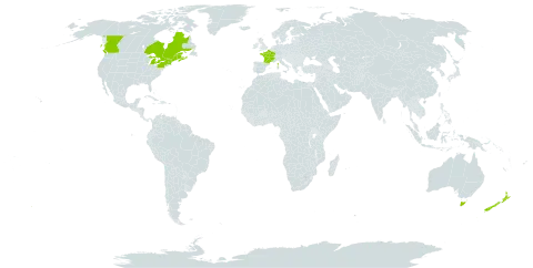 Linum catharticum world distribution map, present in Australia, Canada, France, New Zealand, and United States of America