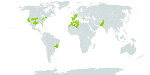 Linum grandiflorum world distribution map, present in Brazil, Algeria, Spain, France, Greece, Morocco, Pakistan, Tunisia, and United States of America