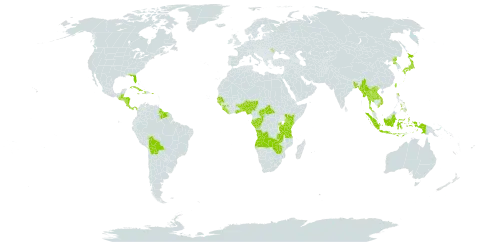 Liparis nervosa subsp. nervosa world distribution map, present in Angola, Benin, Burkina Faso, Bangladesh, Belize, Bolivia (Plurinational State of), Central African Republic, Congo, Costa Rica, Cuba, Dominica, Gabon, Ghana, Guinea, Guinea-Bissau, Guatemala, Guyana, Honduras, Haiti, Indonesia, Jamaica, Japan, Kenya, Lao People's Democratic Republic, Liberia, Moldova (Republic of), Myanmar, Nigeria, Nicaragua, Nepal, Panama, Philippines, Puerto Rico, Korea (Democratic People's Republic of), Rwanda, Senegal, Sierra Leone, Suriname, Togo, Thailand, Taiwan, Province of China, Tanzania, United Republic of, Uganda, United States of America, Viet Nam, Zambia, and Zimbabwe