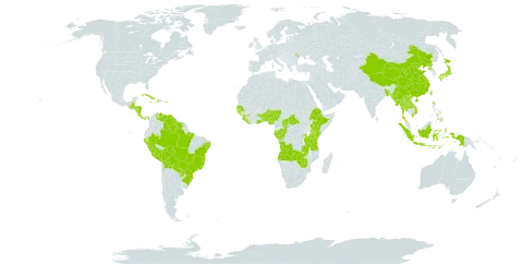 Liparis nervosa world distribution map, present in Angola, Benin, Burkina Faso, Bangladesh, Belize, Bolivia (Plurinational State of), Brazil, Central African Republic, China, Congo, Costa Rica, Cuba, Dominica, Ethiopia, Gabon, Ghana, Guinea, Guinea-Bissau, Guatemala, Guyana, Honduras, Haiti, Indonesia, Jamaica, Japan, Kenya, Lao People's Democratic Republic, Liberia, Moldova (Republic of), Myanmar, Nigeria, Nicaragua, Nepal, Panama, Peru, Philippines, Puerto Rico, Korea (Democratic People's Republic of), Paraguay, Rwanda, Senegal, Sierra Leone, Suriname, Togo, Thailand, Taiwan, Province of China, Tanzania, United Republic of, Uganda, Venezuela (Bolivarian Republic of), Viet Nam, Zambia, and Zimbabwe