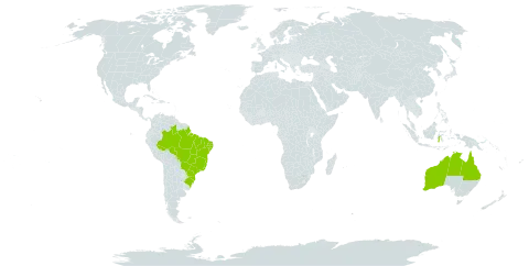 Lipoblepharis asperrima world distribution map, present in Australia, Brazil, and Indonesia