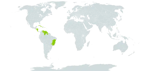 Lippia micromera world distribution map, present in Brazil, Costa Rica, Cuba, Dominica, Guyana, Honduras, Haiti, Nicaragua, Puerto Rico, and Venezuela (Bolivarian Republic of)