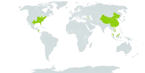 Liriodendron world distribution map, present in Åland Islands, China, Micronesia (Federated States of), Georgia, Malaysia, Nicaragua, United States of America, and Viet Nam