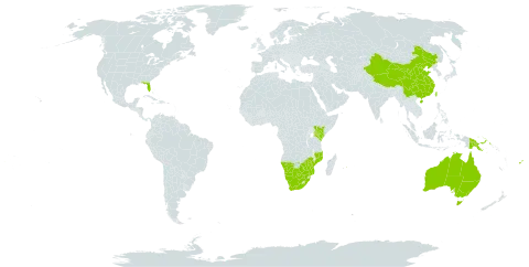 Listia bainesii world distribution map, present in Australia, Botswana, China, Fiji, Kenya, Mozambique, Mauritius, Namibia, Papua New Guinea, Taiwan, Province of China, United States of America, South Africa, and Zimbabwe