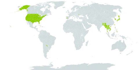 Lithocarpus world distribution map, present in Argentina, Bangladesh, Bhutan, China, Spain, India, Japan, Korea (Republic of), Lao People's Democratic Republic, Moldova (Republic of), Myanmar, Nepal, Philippines, Thailand, Taiwan, Province of China, United States of America, and Viet Nam