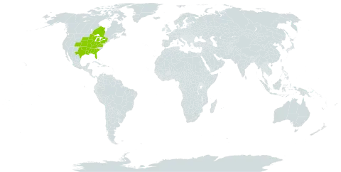 Lithospermum caroliniense world distribution map, present in Canada and United States of America