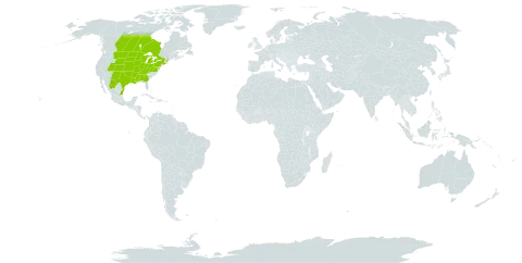 Lithospermum occidentale world distribution map, present in Canada, Mexico, and United States of America