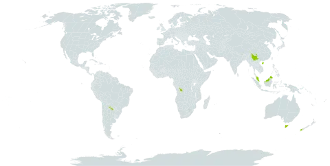 Lobelia angulata world distribution map, present in Argentina, Australia, China, Congo (Democratic Republic of the), India, Malaysia, Nepal, and New Zealand