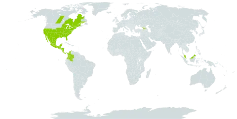 Lobelia cardinalis world distribution map, present in Åland Islands, American Samoa, Belize, Canada, Colombia, Costa Rica, Micronesia (Federated States of), Georgia, Guatemala, Honduras, Sri Lanka, Mexico, Malaysia, Nicaragua, Panama, Philippines, and United States of America