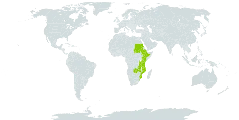 Lobelia trullifolia world distribution map, present in Ethiopia, Kenya, Mozambique, Sudan, eSwatini, Tanzania, United Republic of, and Zambia