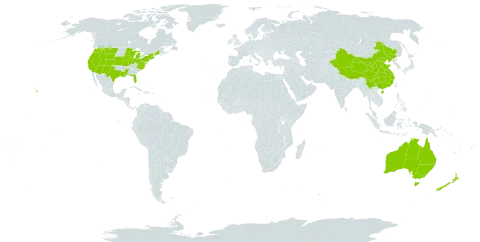 Lobularia world distribution map, present in Australia, China, New Zealand, and United States of America