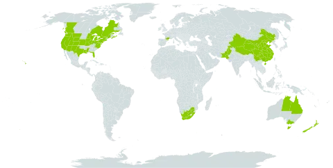 Lobularia maritima world distribution map, present in Australia, Canada, China, France, New Zealand, Pakistan, United States of America, and South Africa