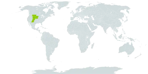 Lomatium nuttallii world distribution map, present in United States of America